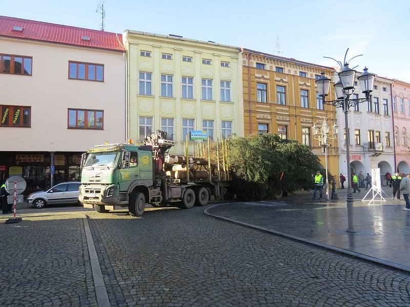 Na náměstí Svobody v Místku už je vánoční strom.