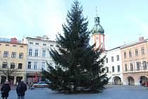 Na náměstí Svobody v Místku stojí vánoční strom.