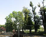 Povodí Odry vykácí poškozené stromy kolem řeky Ostravice v sadech Bedřicha Smetany ve Frýdku-Místku.