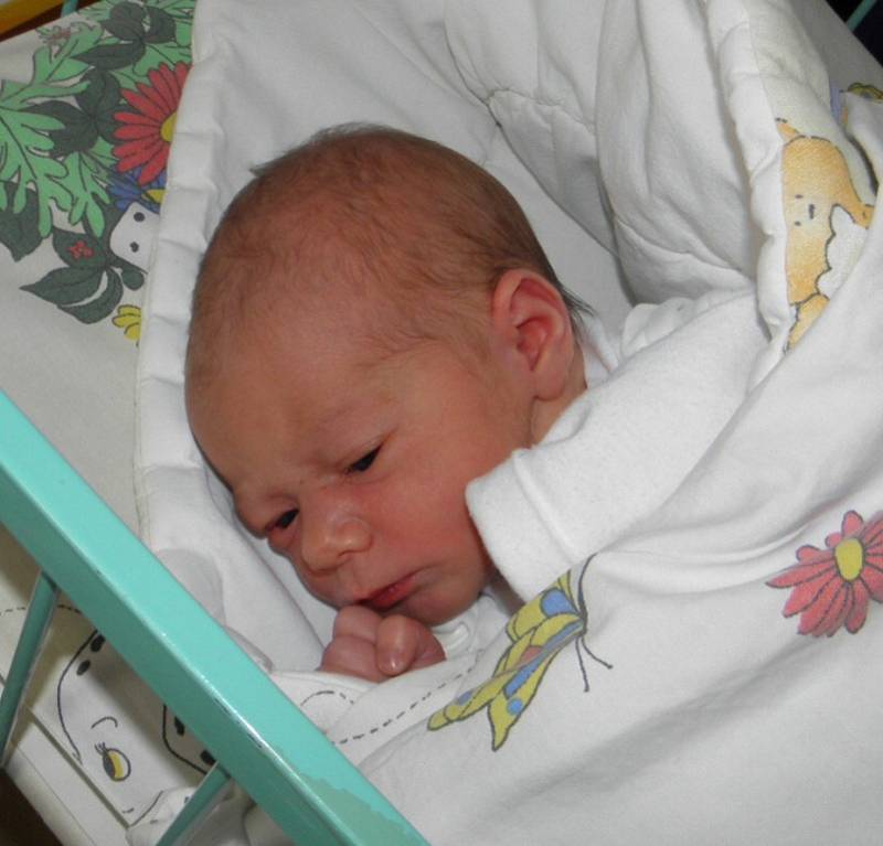 Alice Klyszczová se narodila 9. listopadu mamince Soni Hlaváčové z Karviné. Po narození holčička vážila 2730 g a měřila 47 cm.