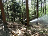 Praktická část Výcviku hašení lesních požárů v projektu EU Bezpečné pohraničí.
