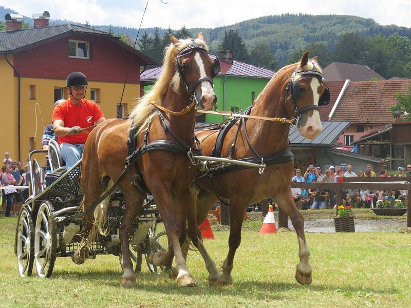 U Lomňanského muzea se konal šestý ročník Vozatajských závodů, kterého se zúčastnili jak závodníci z Česka, tak ze zahraničí. 