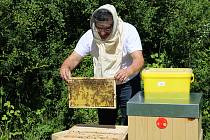 Novým domovem pro včely je rekultivovaná část skládky v Třinci.