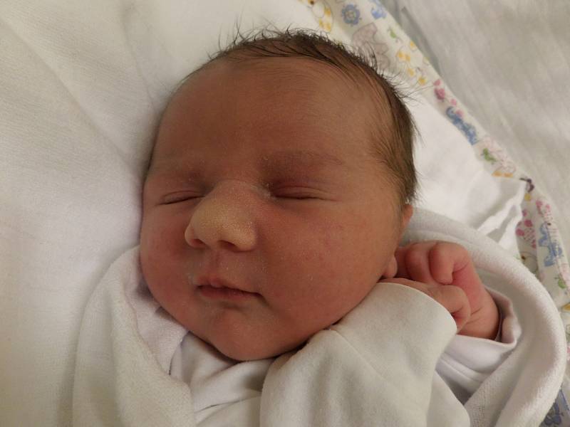 Olga Sekulová, Jablunkov, nar. 2.12., 51 cm, 3,6 kg, Nemocnice Třinec.