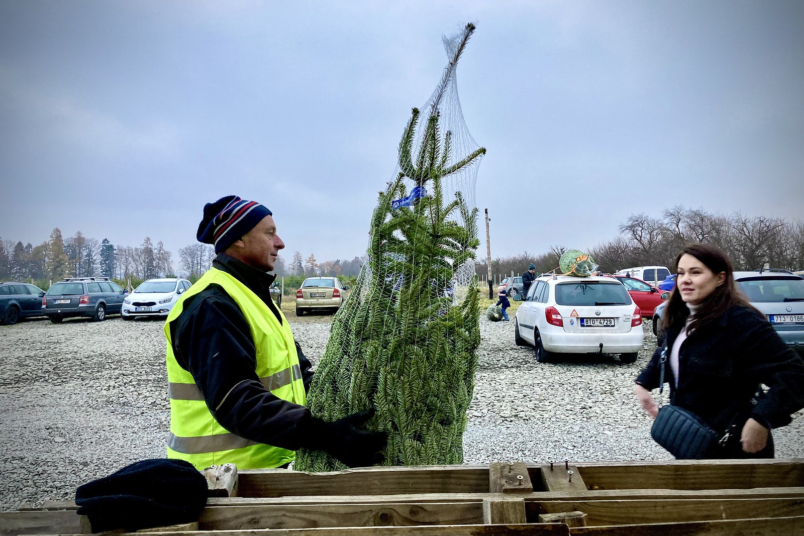 VIDEO: Otevřely se plantáže s vánočními stromky. V Beskydech mají tyto ceny  - Novojičínský deník