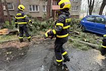 Následky vichru, Frýdek-Místek, zásah hasičů, 23. března 2024.