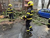 Následky vichru, Frýdek-Místek, zásah hasičů, 23. března 2024.