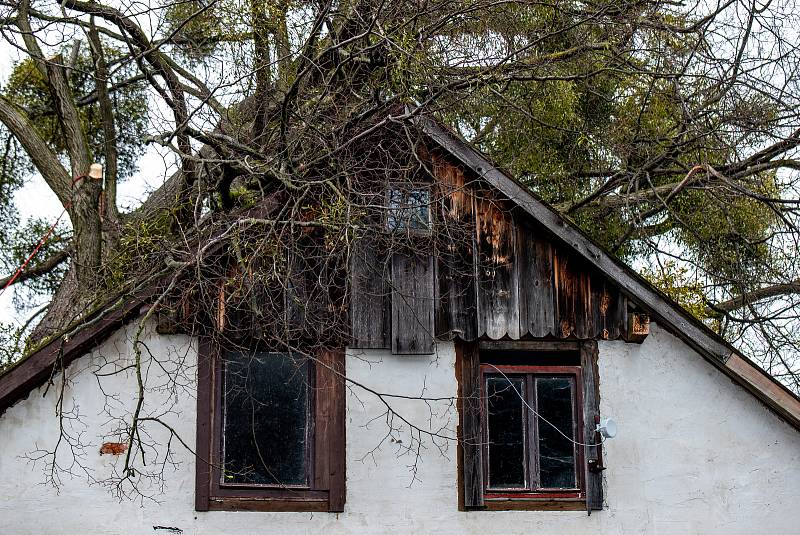 Silný vítr zlomil strom, který spadl na střechu rodinného domu, 10. února 2020 v Morávce.