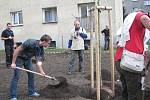 Vnitroblok mezi Jiráskovou a Wolkerovou ulicí v Třinci mladí zahradníci během soutěže Lipová ratolest proměnili v nový park. 