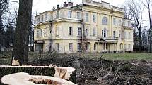 V zámeckém parku v Hnojníku bylo vykáceno 222 stromů, podle obce bez povolení. Případem se zabývá Česká inspekce životního prostředí. 