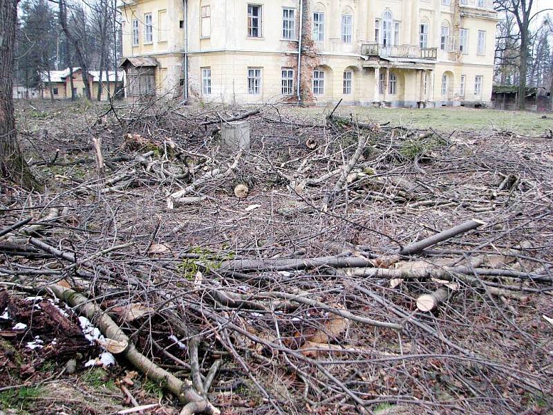 V zámeckém parku v Hnojníku bylo vykáceno 222 stromů, podle obce bez povolení. Případem se zabývá Česká inspekce životního prostředí. 