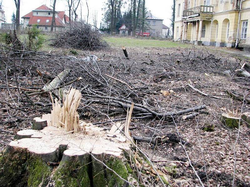 V zámeckém parku v Hnojníku bylo vykáceno 222 stromů, podle obce bez povolení. Případem se zabývá Česká inspekce životního prostředí. 