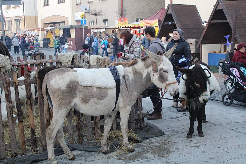 Součástí vánočního trhu bylo ve Frýdlantu nad Ostravicí i rozsvěcování vánočního stromu.