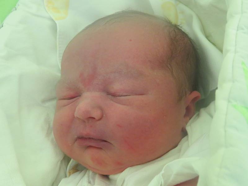 Nicholas Robin Stebel, Frýdek-Místek, nar. 27.12., 52 cm, 4,42 kg, Nemocnice ve Frýdku-Místku. 