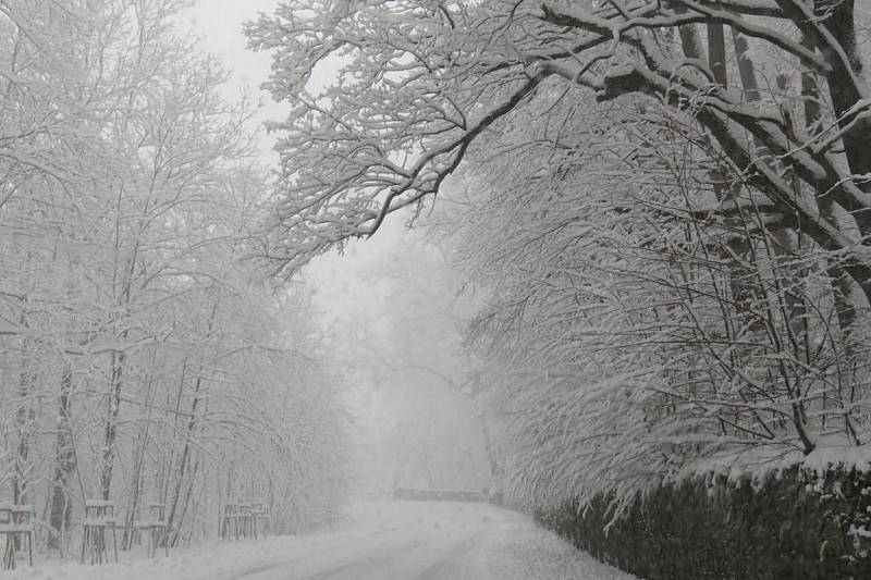 Husté sněžení zasáhlo v neděli Frýdecko-Místecko a Třinecko. Se sněhem „se bojovalo“ v celém regionu. Snímky jsou z Frýdku-Místku, Ostravice, Bílé a Hukvaldů.
