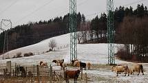 Lidé vyrazili 1. ledna přivítat nový rok 2012 na horu Kubánkov – Palkovické hůrky.