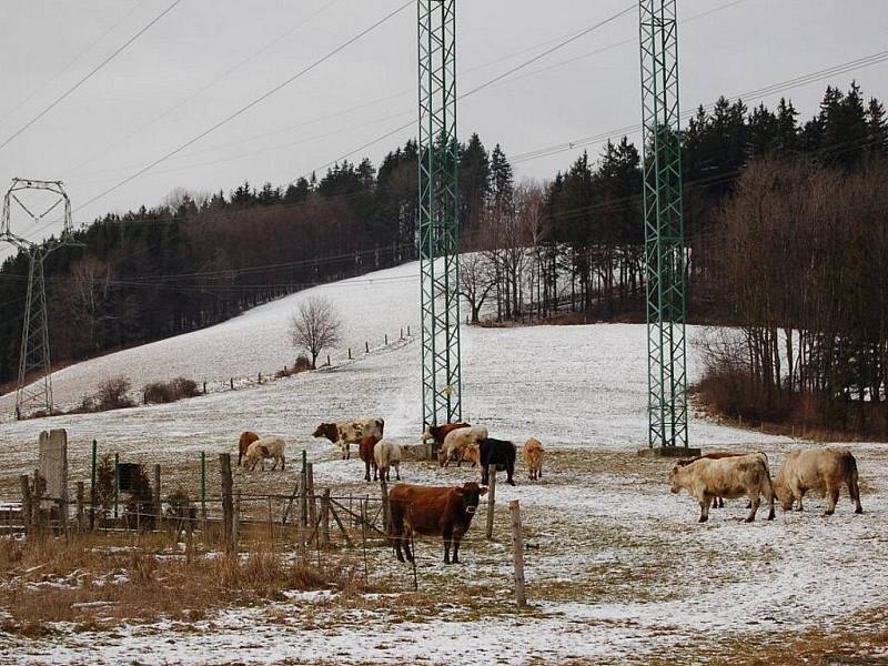 Lidé vyrazili 1. ledna přivítat nový rok 2012 na horu Kubánkov – Palkovické hůrky.