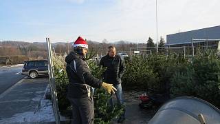 Prodej živých vánočních stromků je v plném proudu - Frýdecko-místecký a  třinecký deník