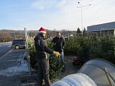 Vánoční stromky si mohou lidé pořídit také na několika místech v Třinci. Jedním z nich je parkoviště v lokalitě za železniční tratí v Lyžbicích. 