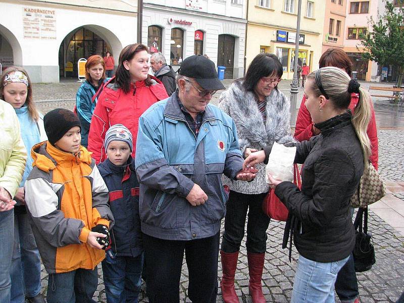 Den s průvodcem - Ilustrační foto.