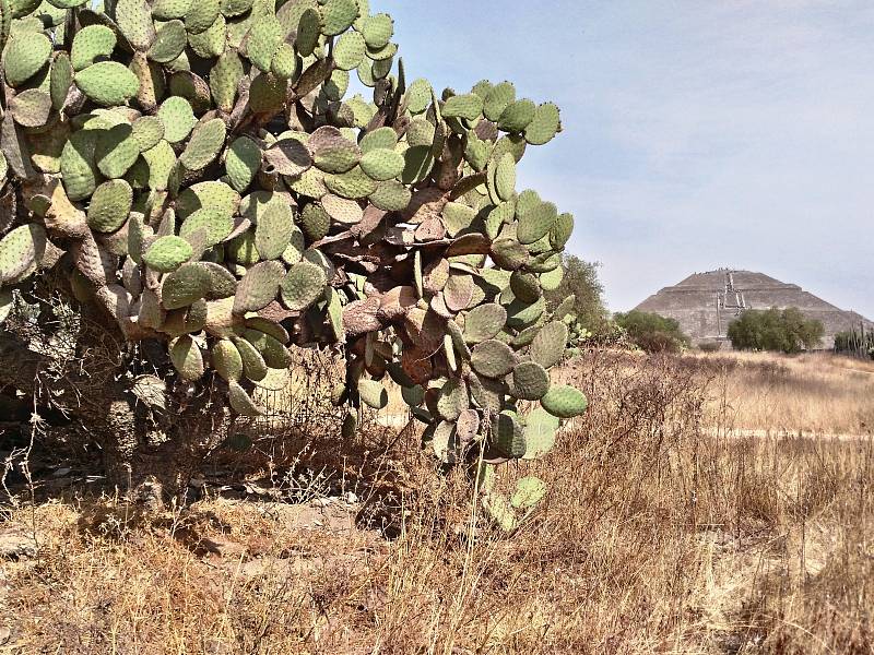 V pozadí pyramida slunce v archeologickém nálezišti Teotihuacan