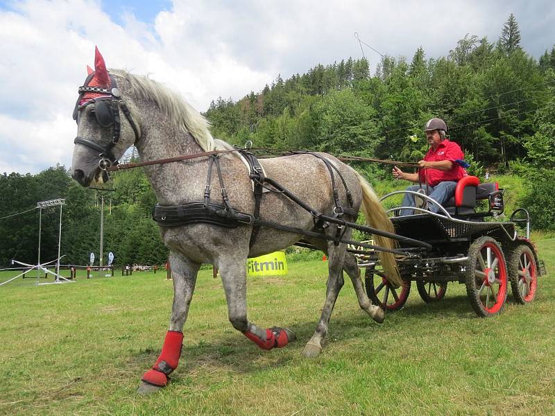 U Lomňanského muzea se konal šestý ročník Vozatajských závodů, kterého se zúčastnili jak závodníci z Česka, tak ze zahraničí. 