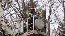 Jablunkovští dobrovolníci hasiči pomáhají prací se stromy ušetřit radnici peníze.