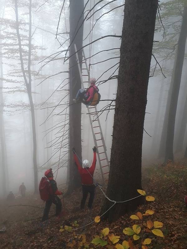 Záchrana paraglidistky ze stromu pod Javorovým vrchem v Beskydech.