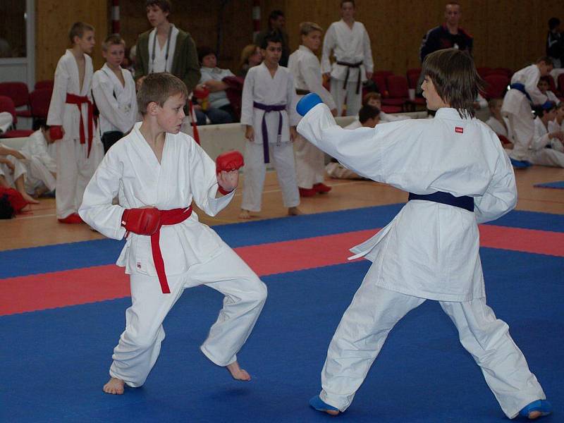 Druhý ročník Aminostar karate cupu v Bystřici nad Olší.