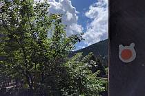 Již několik let mohou turisté v podhůří Lysé hory a Smrku narazit na symbol barevné hlavy medvídka. Jsou jím značeny stezky Po medvědích tlapkách, které vedou po loukách, lesích a vesnicemi v oblasti Ostravice, Malenovic, Čeladné a Nové Vsi.