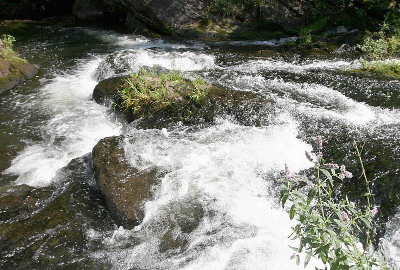 Peřeje na řece Ostravici ve stejnojmenné beskydské obci jsou vyhlášeným místem k osvěžení, srpen 2022.