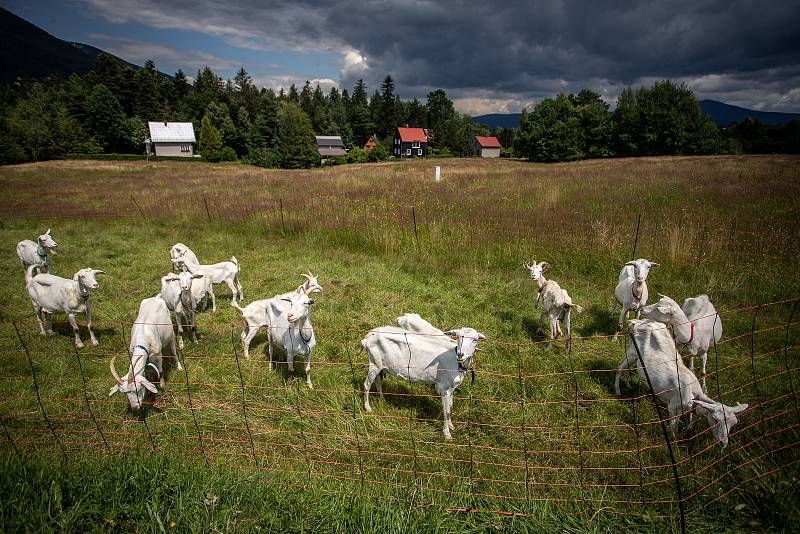 Kunčice pod Ondřejníkem, 12. července 2020.