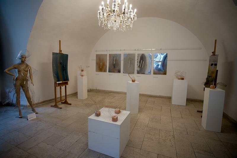 Výstava od Petry Venclíkové a "Symfonie odpočinku" v Muzeum Beskyd, 24. července 2020 ve Frýdku-Místku.