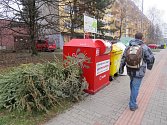 Živé vánoční stromky ve městech končí obvykle u popelnic. Ilustrační snímek. 