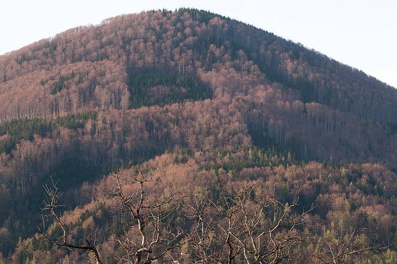 Jaro v Beskydech. Kunčice pod Ondřejníkem. Ilustrační foto.