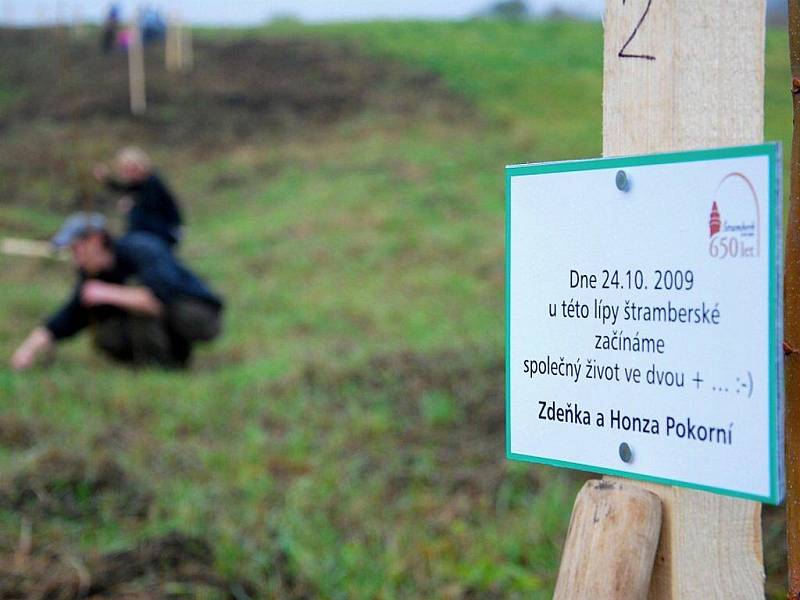 V sobotu 24. října vysadili ve Štramberku Výroční lípovou alej.