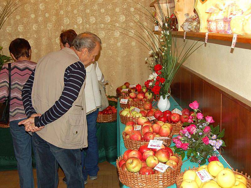 Zřejmě největší zahrádkářskou výstavu v regionu hostí Frýdlant nad Ostravicí.