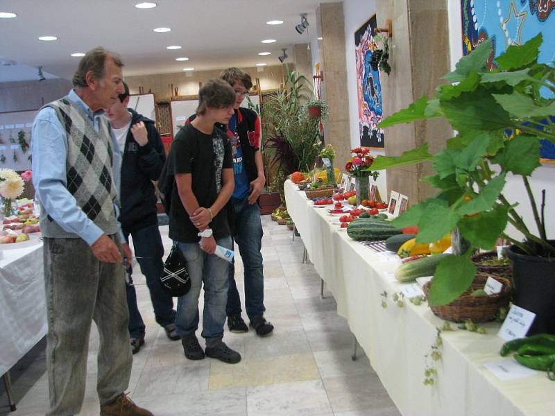 Výstava ovoce, zeleniny a rostlin v budově 6. základní školy ve Frýdku-Místku. 