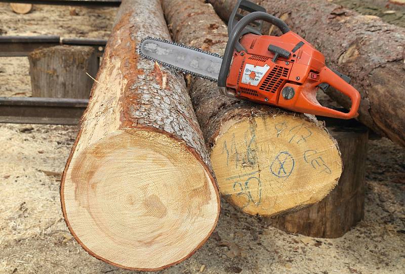 Zatímco celosvětově více než polovina dřeva „vyletí komínem“ při vytápění a na pilách se jej rozřeže přes 20 procent, na papírenství jej zbude asi jen 13 procent
