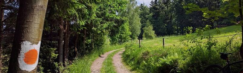 Již několik let mohou turisté v podhůří Lysé hory a Smrku narazit na symbol barevné hlavy medvídka. Jsou jím značeny stezky Po medvědích tlapkách, které vedou po loukách, lesích a vesnicemi v oblasti Ostravice, Malenovic, Čeladné a Nové Vsi.