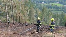 Požár na prudkém svahu beskydského masivu Ondřejník v Pstruží na Frýdecko-Místecku.  Sobota 3. října 2020.