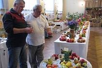 Výstava zahrádkářů ve Frýdku-Místku zaměřená na staré odrůdy v regionu.