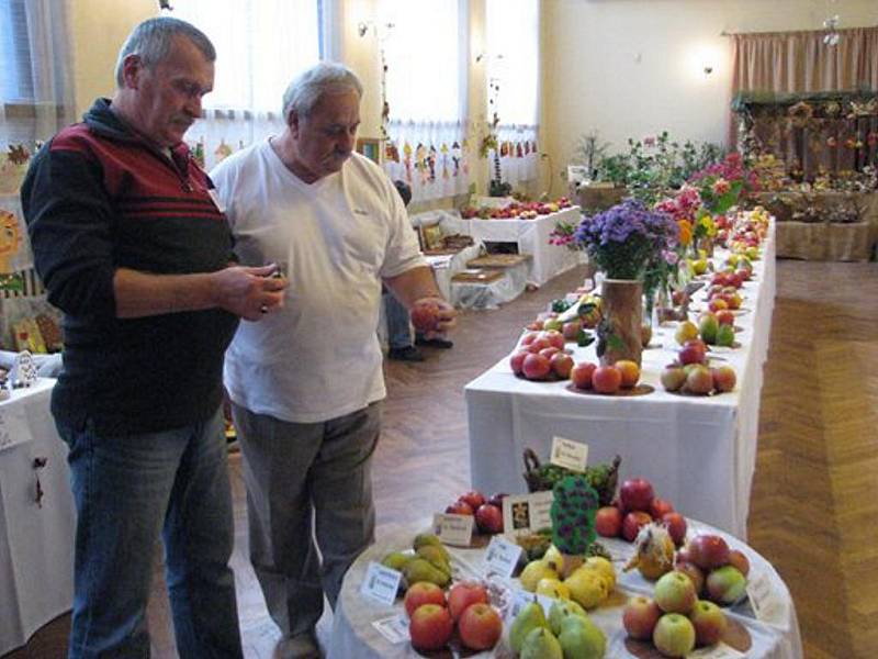 Výstava zahrádkářů ve Frýdku-Místku zaměřená na staré odrůdy v regionu.