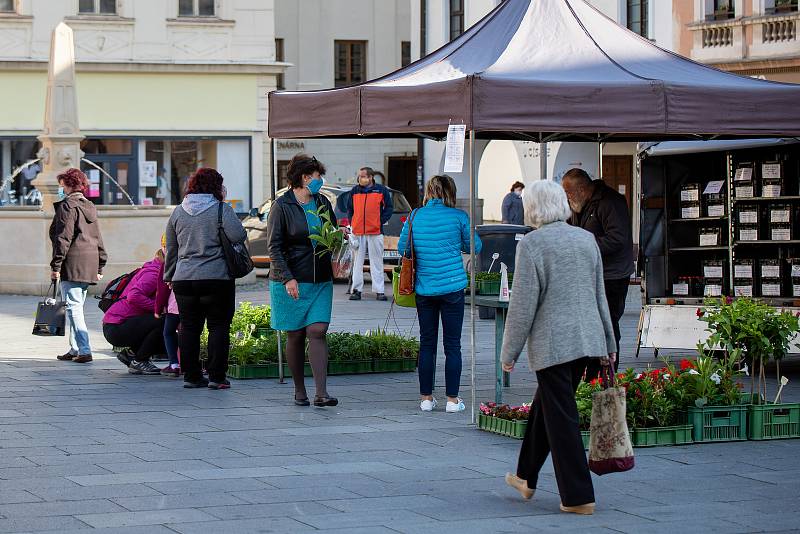 Farmářské trhy na místeckém náměstí Svobody, 7. května 2020 ve Frýdku-Místku.