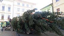 Na náměstí Svobody v Místku už je vánoční strom.