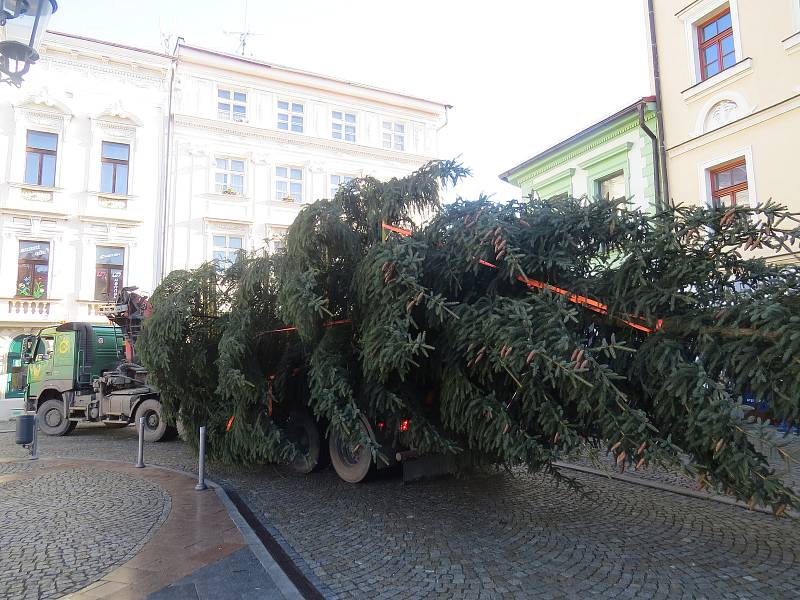 Na náměstí Svobody v Místku už je vánoční strom.