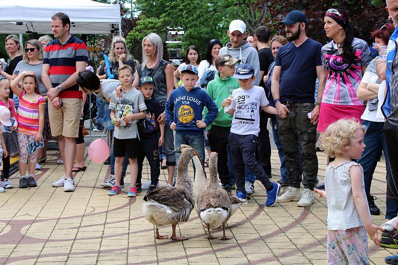 Stovky dětí i dospělých navštívily v sobotu 27. května Smetanovy sady v Místku a přilehlou Novou scénu Vlast. Uskutečnily se tam oslavy Dne dětí.