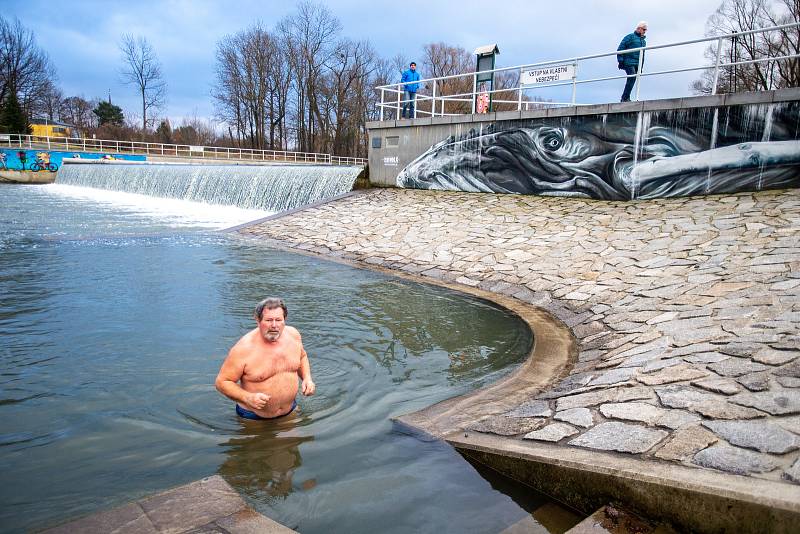 Příznivci otužování se pravidelně celou zimní sezonu scházejí třikrát týdně u jezu, aby si zaplavali ve studené řece Ostravici ve Frýdku-Místku.