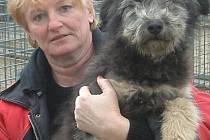 Anna Adamiecová z třineckého útulku se v lednu prakticky nezastavila. Své majitele hledalo na čtyřicet odchycených či nalezených psů.