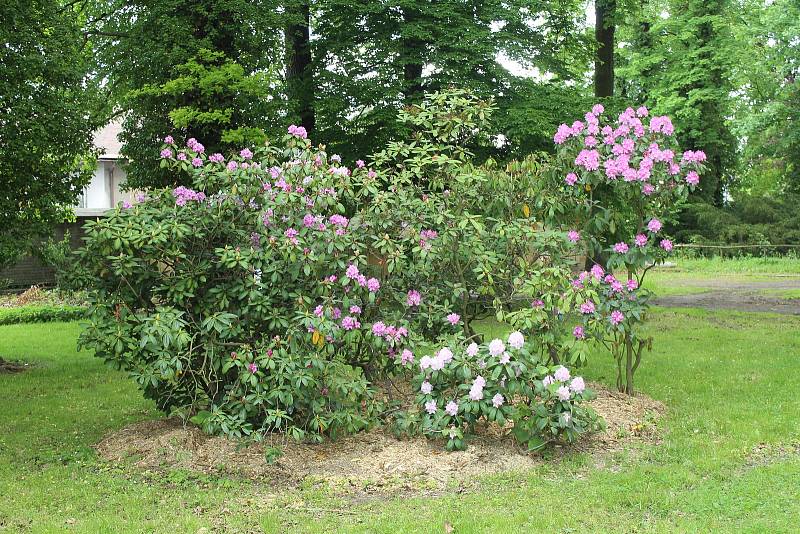 Zámek a zámecký park, Paskov.